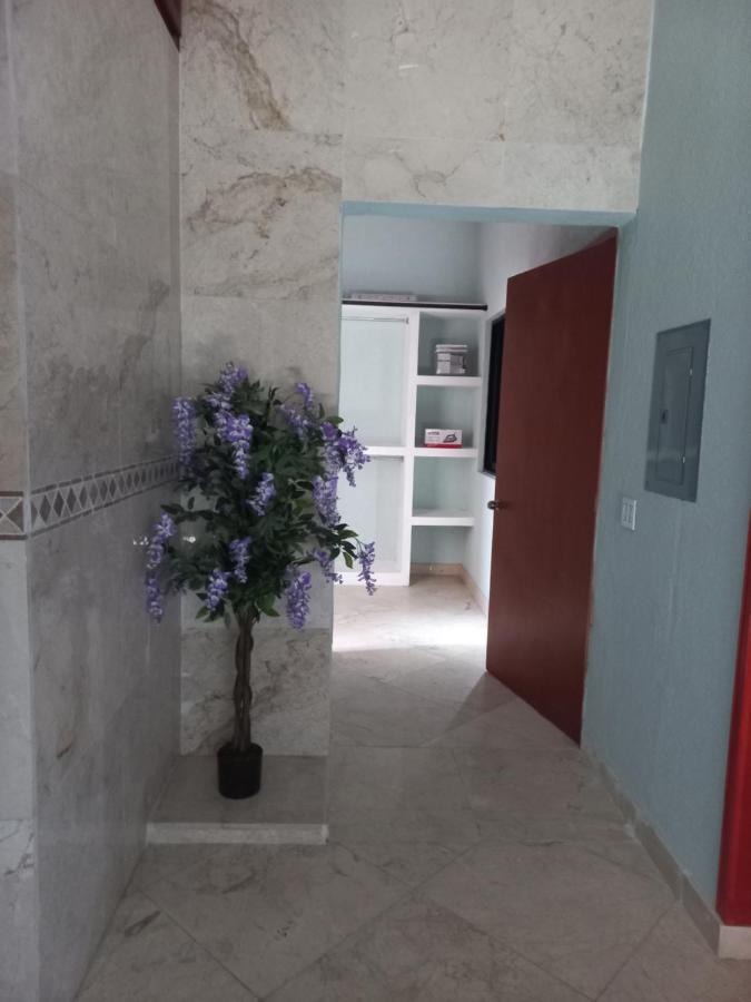 Departamento Tayde Apartment San José del Cabo Екстериор снимка